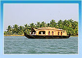 Backwater - Kerala
